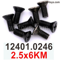 Wltoys 104019 Screws Parts 12401.0246 2.5x6KM Phillips Countersunk Head Machine Screws.Wltoys 104019 1/10 Parts, Wltoys 104019 RC Car Accessories.