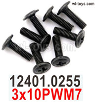 Wltoys 104019 Screws Parts 12401.0255 3x10PWM7 Phillips pan head machine screws with media.Wltoys 104019 1/10 Parts, Wltoys 104019 RC Car Accessories.