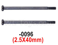 Wltoys 12427 Parts-Cross step lower half tooth screw-12427-0096-(2PCS)-2.5X40mm,Wltoys 12427 RC Car Parts,Wltoys 1/12 Parts