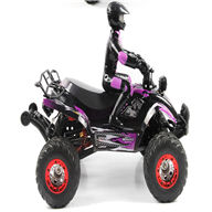 FeiYue FY-04 RC CAR,FY04 FY-04 RC Motorcycle 1/12 1:12 electric rc car,4WD remote control cross-country rock crawler with big wheels-Purple FeiYue-Car-All