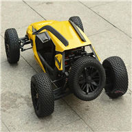 HaiBoXing HBX T6 1/6 100+km/h RWD Proportional Brushless RC Desert Buggy RC Racing Car,HBX T6 Car Parts(Not include the Battery and Charger) HaiBoXing-Car-All