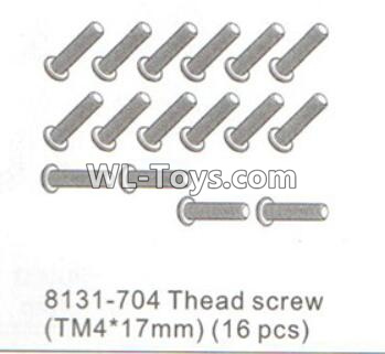 DHK RAZ-R Parts-Thead screw(TM4X17mm)-16pcs Parts-8131-704,DHK RAZ-R Parts,DHK Wolf Parts,DHK HOBBY 8133 8134 Parts