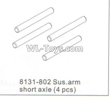 DHK RAZ-R Parts-Sus.arm short axle(4pcs) Parts-8131-802,DHK RAZ-R Parts,DHK Wolf Parts,DHK HOBBY 8133 8134 Parts