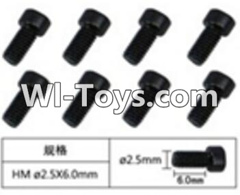 FeiYue FY-02 Spare Parts-60-06 W12067 Inner Hexagon Cup head Machine screws(8pcs)-2.5X6mm,FeiYue FY-02 RC Car Parts,FY02 FY-02 RC Truck Spare parts Accessories,1:12 4WD High Speed Buggy Parts