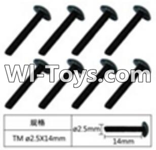 FeiYue FY-02 Spare Parts-60-10 W12071 Inner Hexagon Flat head Self-attack screws(8pcs)-2.5X14mm,FeiYue FY-02 RC Car Parts,FY02 FY-02 RC Truck Spare parts Accessories,1:12 4WD High Speed Buggy Parts