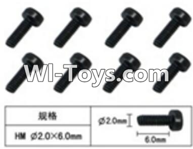 FeiYue FY-02 Spare Parts-60-19 W12061 Inner Hexagon Cup head machine screws(8pcs)-2.0X6mm,FeiYue FY-02 RC Car Parts,FY02 FY-02 RC Truck Spare parts Accessories,1:12 4WD High Speed Buggy Parts