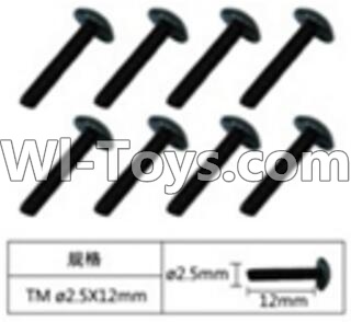 FeiYue FY-04 Spare Parts-60-09 W12070 Inner Hexagon T head machine screws(8pcs)-2.5X12mm,FeiYue FY-04 RC Car Parts,FY04 FY-04 RC Motorcycle Truck Spare parts Accessories,1:12 4WD High Speed Buggy Parts
