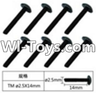 FeiYue FY-05 FY05 Parts-W12071 Inner Hexagon Flat head Self-attack screws(8pcs)-2.5X14mm,FeiYue FY-05 RC Car Parts,FY05 FY-05 RC Truck Spare parts Accessories,1:12 4WD High Speed Buggy Parts
