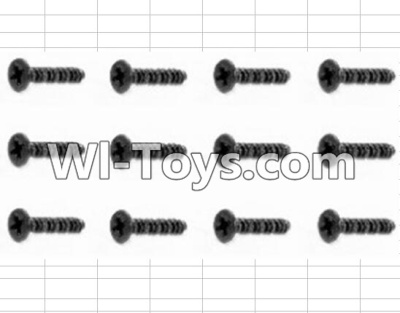HBX 12881 Screws Parts-Countersunk Self Tapping Screw(12pcs)-2X9mm Parts-S038,HaiBoXing HBX 12881 VORTEX RC Car Parts