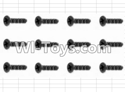 HBX 12881 Screws Parts-Countersunk Screw(12pcs)-3X10mm Parts-S062,HaiBoXing HBX 12881 VORTEX RC Car Parts