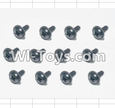 HBX 12881 Screws Parts-Flange Head Self Tapping Screws(12pcs)-2.6X8mm Parts-S160,HaiBoXing HBX 12881 VORTEX RC Car Parts