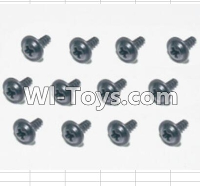 HBX 12881 Screws Parts-Flange Head Self Tapping Screws(12pcs)-2X6mm Parts-S164,HaiBoXing HBX 12881 VORTEX RC Car Parts