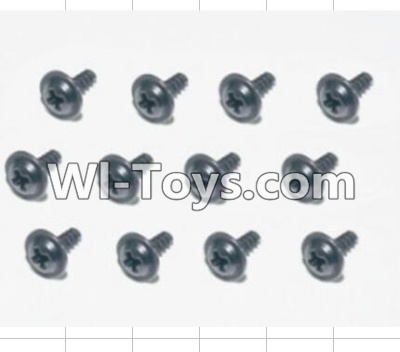 HBX 12881 Screws Parts-Flange Head Self Tapping Screws(12pcs)-2.3X8mm Parts-S167,HaiBoXing HBX 12881 VORTEX RC Car Parts