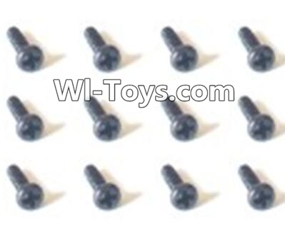 HaiBoXing 2098B Spare Parts-53 24760 Countersunk head Self Tapping Screws(12PCS)-2x6mm,,HBX 2198B Car Parts,HaiBoXing 1:24 2198B RC Truck Spare parts Accessories,HBX 1/24 2198B 4WD High Speed Buggy Parts
