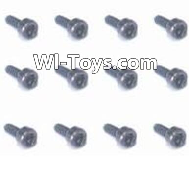 HaiBoXing 2098B Spare Parts-58 24773 Round Head Hex. Screw(12pcs) -2x6mm,,HBX 2198B Car Parts,HaiBoXing 1:24 2198B RC Truck Spare parts Accessories,HBX 1/24 2198B 4WD High Speed Buggy Parts