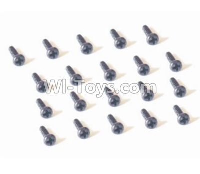 HBX 2128 Wildrider Screw Pan Head Self Tapping Screw-2X6mm(20PCS) 25050,HaiBoXing HBX 2128 RC Car Parts 1/24