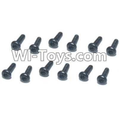 HBX T6 Hex. Recessed Pan Head Screws(TMH04x16mm)-12pcs Parts TS209,HaiBoXing HBX T6 1/6 RC Desert Buggy Parts,hbx T6 Hammerhead Parts