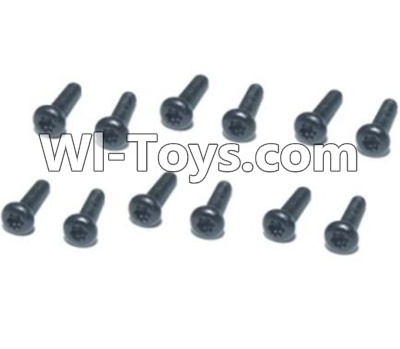 HBX T6 Hex. Recessed Pan Head Screws(TMH04x23mm)-12pcs Parts TS210,HaiBoXing HBX T6 1/6 RC Desert Buggy Parts,hbx T6 Hammerhead Parts