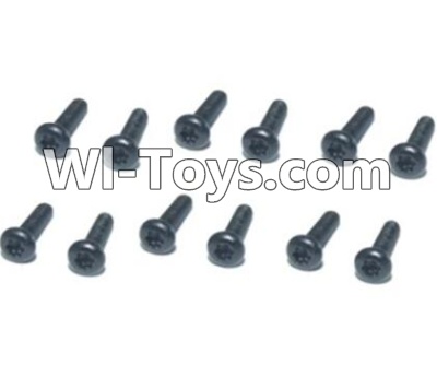 HBX T6 Hex. Recessed Pan Head Self Tapping Screws(TMH04x10mm)-12pcs Parts TS211,HaiBoXing HBX T6 1/6 RC Desert Buggy Parts,hbx T6 Hammerhead Parts