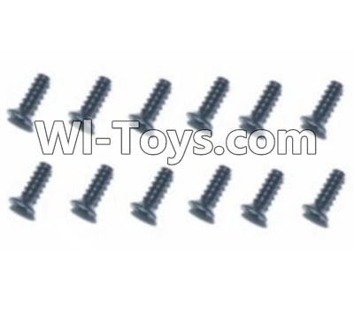 HBX T6 Hex. Recessed Countsunk Screws(FMH03x25mm)-12pcs Parts TS218,HaiBoXing HBX T6 1/6 RC Desert Buggy Parts,hbx T6 Hammerhead Parts