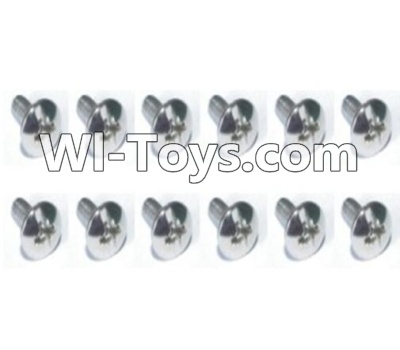 HBX T6 Cross Recessed Flange Head Self Tapping Screws(PWTH03x10mm)-12pcs Parts TS224,HaiBoXing HBX T6 1/6 RC Desert Buggy Parts,hbx T6 Hammerhead Parts