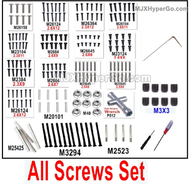 MJX Hyper Go 16208 Parts Screws Set.It nearly include most of the screws.MJX 16207 1/16 RC Car Replacement Accesories.