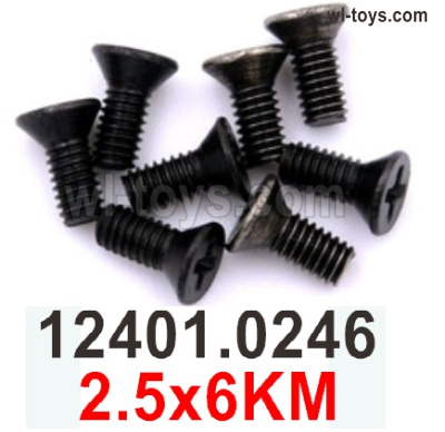 Wltoys 104019 Screws Parts 12401.0246 2.5x6KM Phillips Countersunk Head Machine Screws.Wltoys 104019 1/10 Parts, Wltoys 104019 RC Car Accessories.