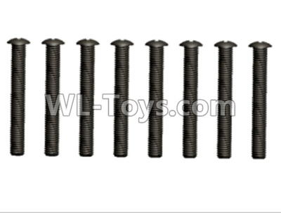 Wltoys 10428-D 2.5x20 Pan head screws(10pcs)-12428.0106,Wltoys 10428-D 1/10 Parts,Wltoys 10428-D Rc Car Parts